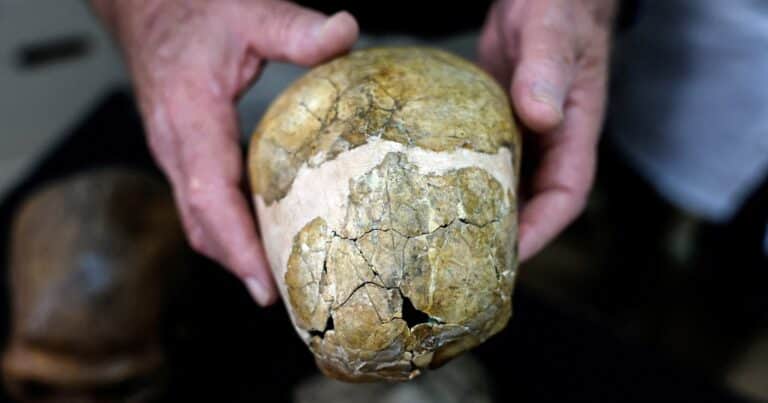 Hallaron en Israel el esqueleto de un bebé neandertal y reveló una diferencia clave con los humanos