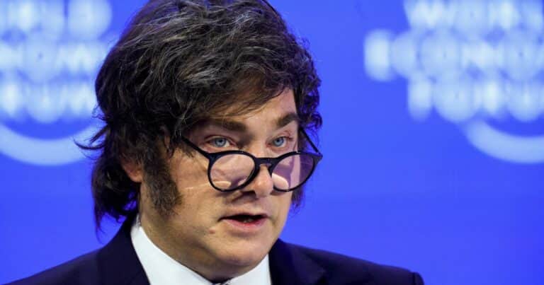Capitalismo, democracia y Milei en el siglo XXI