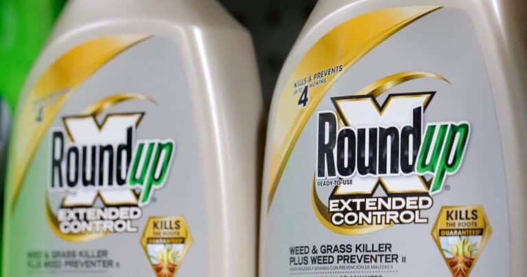 Un fallo de la Corte Suprema de Estados Unidos a favor de Bayer bloquea miles de demandas contra el glifosato