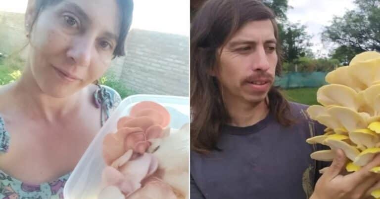 Gustavo y Natalia empezaron a cultivar hongos en su casa para tener una dieta saludable y hoy viven de su producción familiar