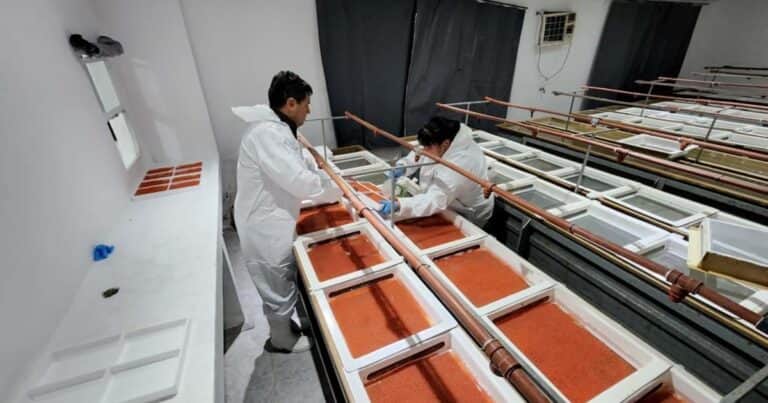 Newsan crece en el negocio alimenticio y compró una pesquera histórica dedicada a un producto «delicatessen»