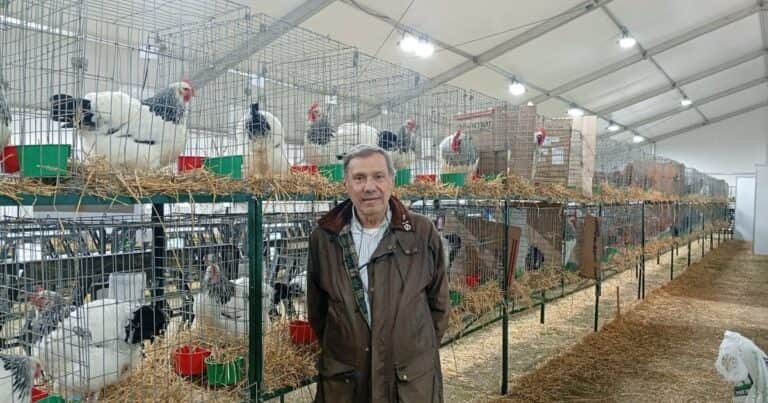 En la búsqueda del animal perfecto: el arte de criar aves, una actividad central de la ganadería argentina y ligada a los comienzos de la Exposición Rural