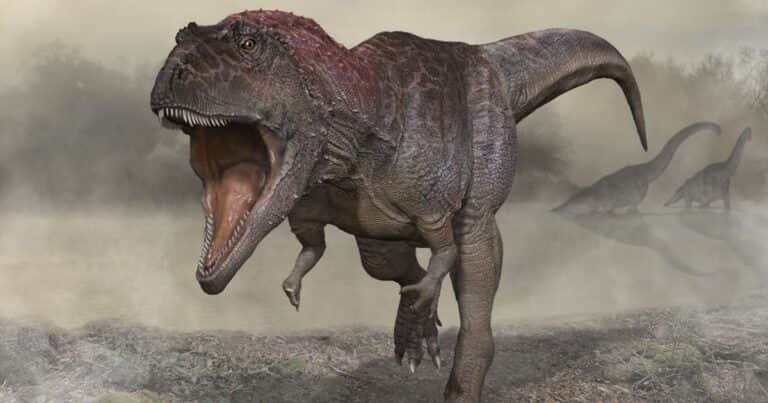Descubren que las crías del Tyrannosaurus Rex eran más pequeñas que un gato y nacían por docenas