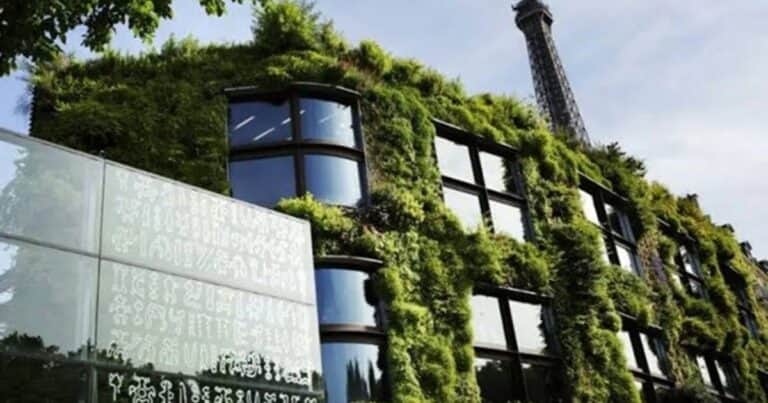 El Museo Quai Branly cumple 20 años acercando las culturas de África, Asia, Oceanía y América