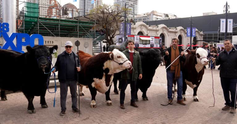 Con estos toros también nos volvemos a ilusionar