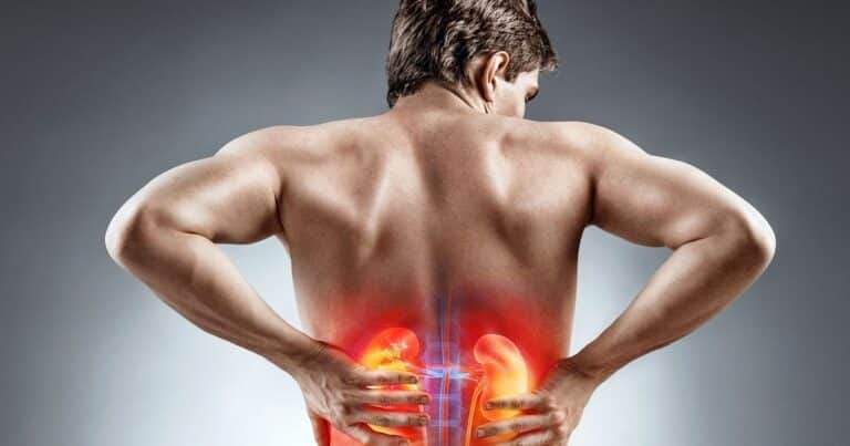 Científicos de Mayo Clinic detectan una vía desconocida para regular el agua en el cuerpo y abren una pista contra una enfermedad renal