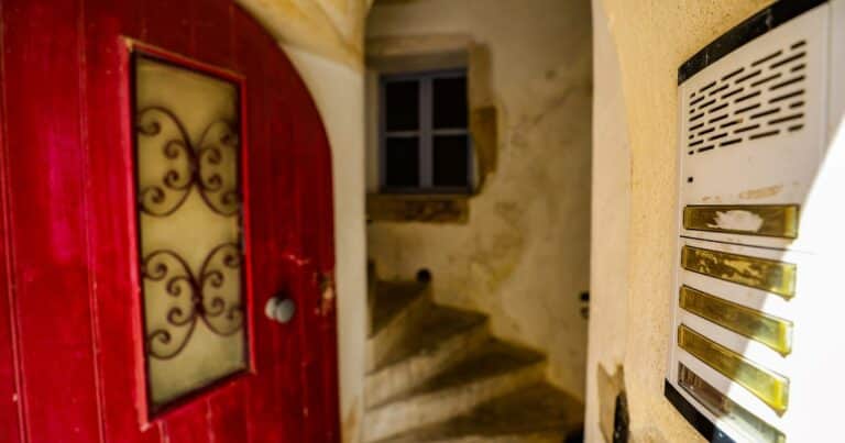 Horror en Francia: detuvieron a la mujer que tenía los restos de cinco bebés muertos dentro de una caja