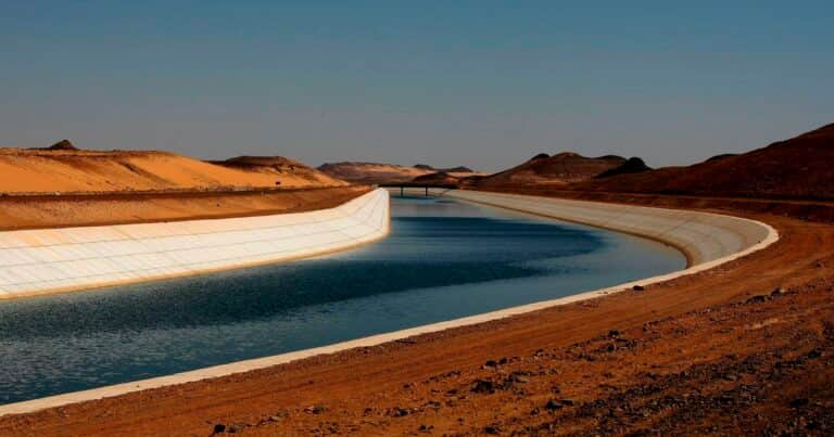Argentina y Egipto: dos potencias agropecuarias muy distintas que fortalecen su vínculo comercial