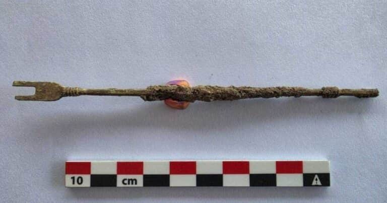 Durante una excavación, arqueólogos encontraron una herramienta de la Edad Antigua que se utilizaba para cirugías: «Era una intervención quirúrgica muy delicada, peligrosa, pero necesaria»
