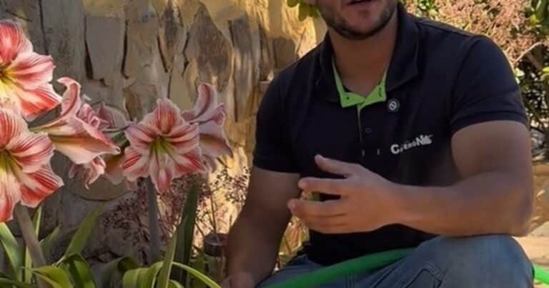 Joan Calderón, jardinero: “Jamás riegues tus plantas de esta forma. Lo estás haciendo todos los días y ni te enteras, y lo peor es que piensas que lo estás haciendo bien”