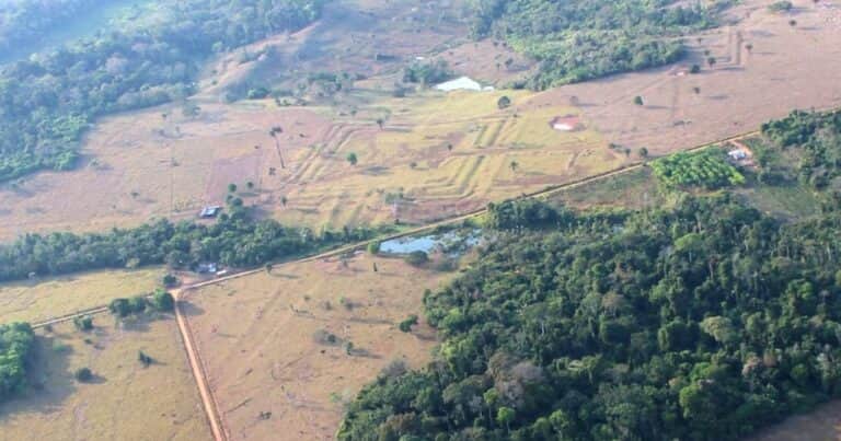 Escáneres láser revelan miles de centros ceremoniales construidos por una misteriosa civilización en la selva amazónica hace 2.000 años