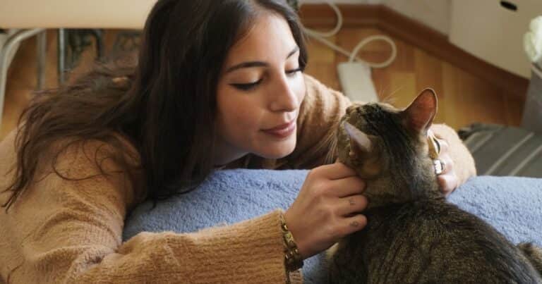 Mireia Marín, auxiliar de veterinaria: “En Tacoronte, municipio de 24.000 habitantes, hay 1.000 gatos registrados en 111 colonias felinas”