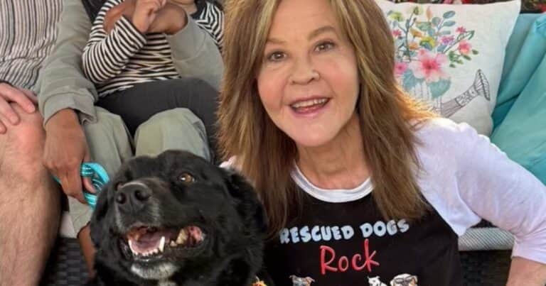 El mal momento de Linda Blair, estrella de «El Exorcista»: la inspeccionaron por crianza ilegal en un campo con 200 perros