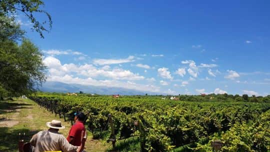 Impacto en las provincias: cuáles son las nueve economías regionales que registraron indicadores en rojo durante julio