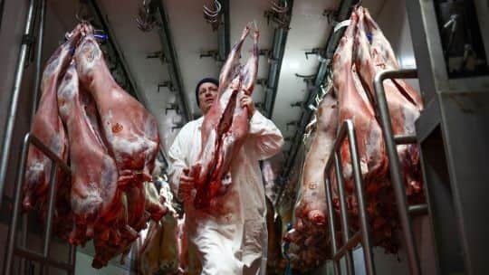 Las dos caras de la carne argentina: exportaciones por las nubes y consumo interno en un piso histórico