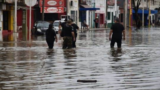 El Niño: el Centro Europeo de Previsiones Meteorológicas precisó qué se espera para Argentina en septiembre, octubre y noviembre