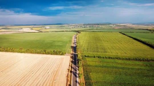 Los caminos rurales en estado de agonía