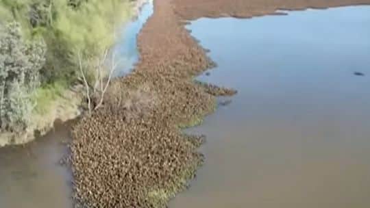 El Niño se intensifica: prevén más lluvias en la Argentina, sequías globales y presión sobre las cosechas