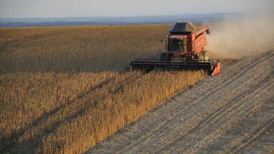 Seis de cada 10 productores agropecuarios creen que es un buen momento para invertir: la tierra lidera las preferencias