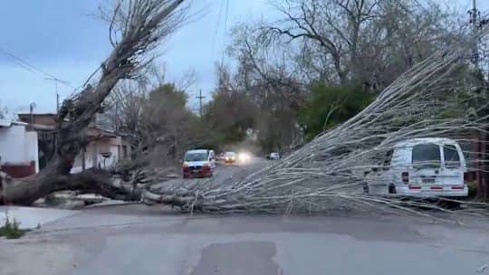 Viento Zonda en Mendoza: alerta por ráfagas de 70 kilómetros por hora y nevadas en la alta montaña