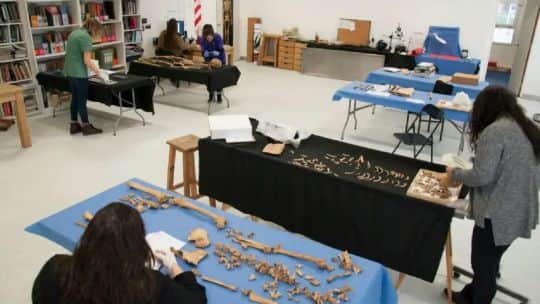 En RDI se explicó cómo el Equipo Argentino de Antropología Forense reconstruye la historia de los desaparecidos