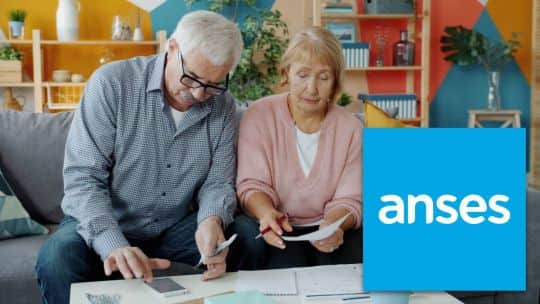 ANSES detalló la lista de trámites que podés resolver desde el celular o la computadora sin pedir turno