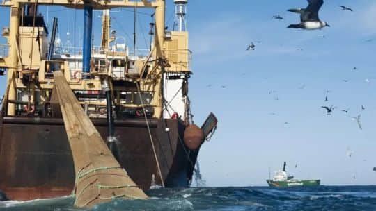 RDI: la pesca en Malvinas representa un negocio de más de USD 1.000 millones que impulsa la economía de las islas