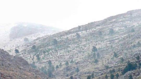La ola polar sorprendió y transformó el paisaje de Sierra de la Ventana con una nevada durante el fin de semana