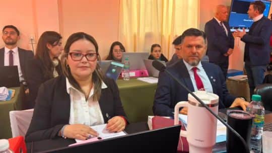 "No les creo a ninguno": la tajante frase de la fiscal sobre los imputados que declararon en el juicio por Loan
