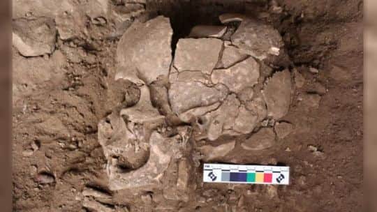 Un hallazgo en Indonesia revela el consumo de sustancias psicoactivas hace 25.000 años