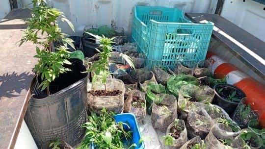 Desarticularon más de 150 puntos de venta de drogas en Corrientes tras un golpe al narcomenudeo