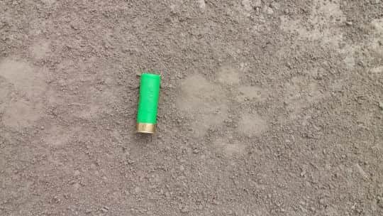 Detectaron rastros de un yaguareté en una reserva del Chaco y activaron un protocolo de monitoreo