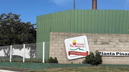 Granja Tres Arroyos ofreció pagar salarios con pollos: qué pasará con su planta en Córdoba