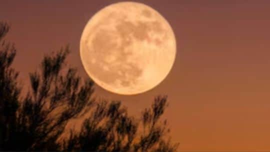Luna llena septiembre 2026: cuándo es y dónde se podrá ver la Luna de la Cosecha