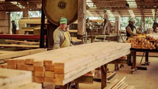 Un empresario forestal cruzó a Javier Milei: "El ajuste lo hacen las pymes y no la casta"