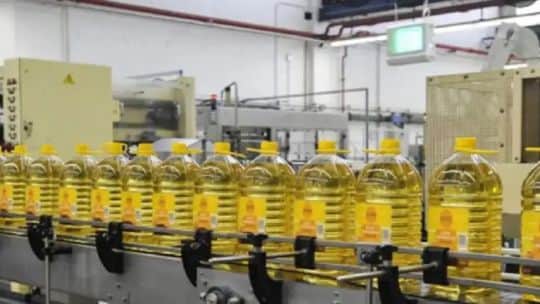 India baja aranceles y abre una oportunidad para el aceite de girasol argentino: “Vamos a exportar más que el año pasado”