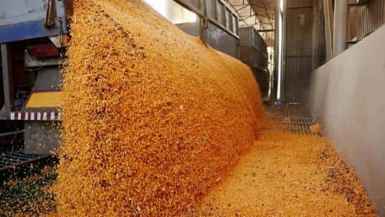 El último Índice de FADA remarcó que los impuestos representaron el 58,2% de la renta agrícola en Argentina