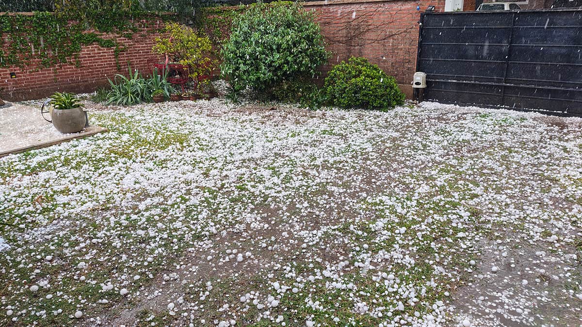 Sorpresiva tormenta con granizo dejó daños en la ciudad