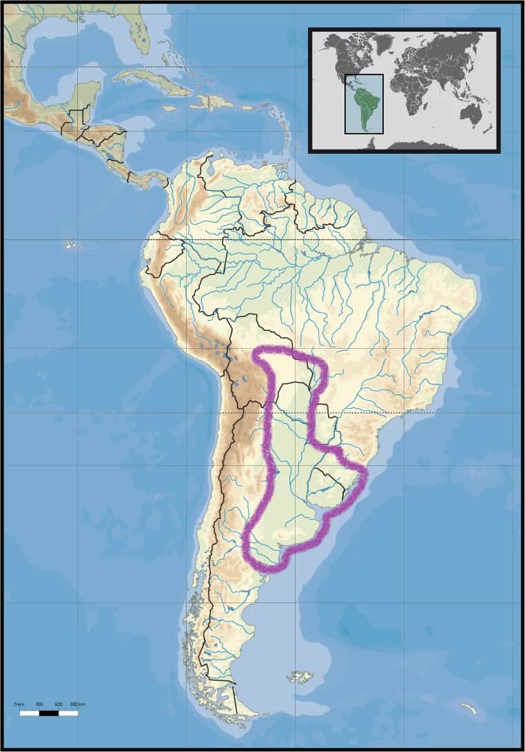 La Pampa sudamericana perdió 11,3 millones de hectáreas de vegetación nativa en casi 40 años