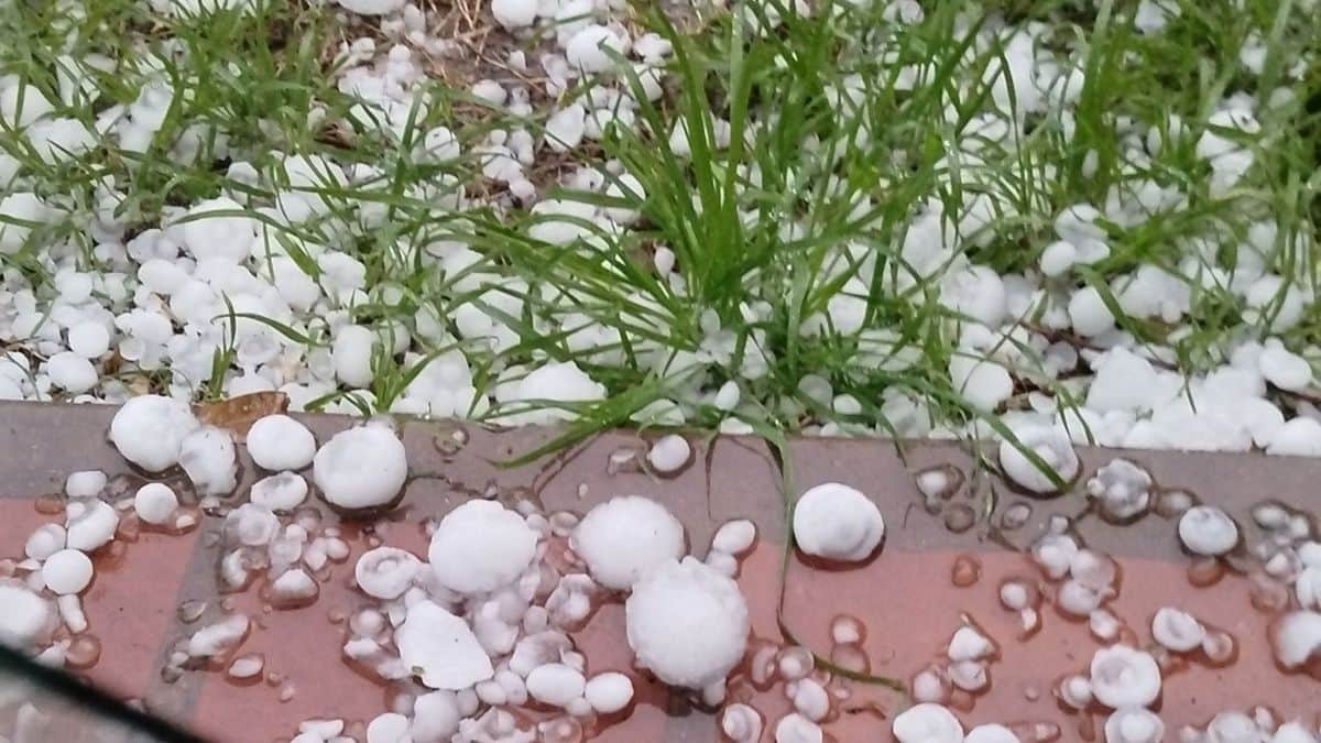 Los daños que está dejando la tormenta en las Sierras y la ciudad