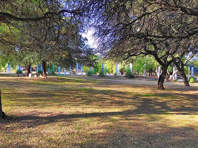 Invitan a una jornada de avistaje de aves autóctonas en el Parque de la Vida
