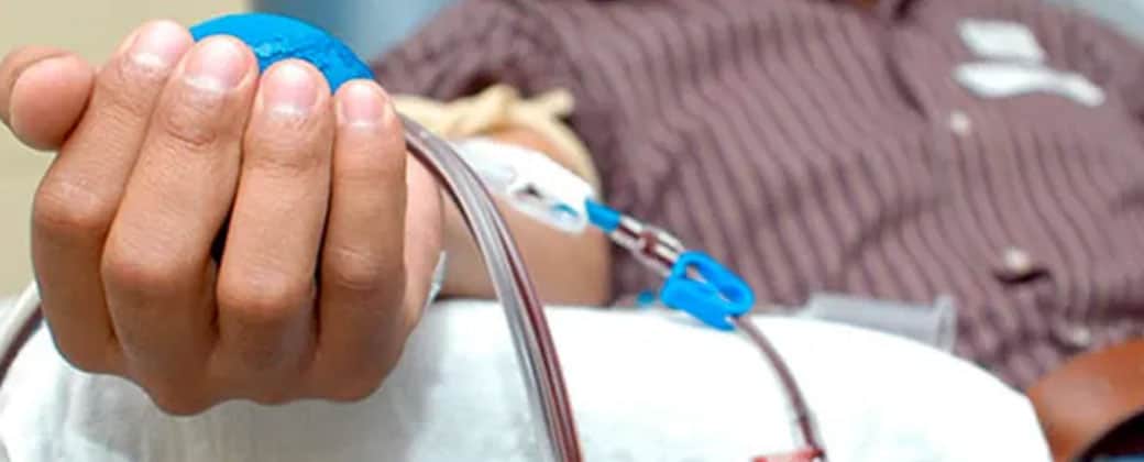Trasplantes de médula ósea: ya se realizaron 992 en 2026