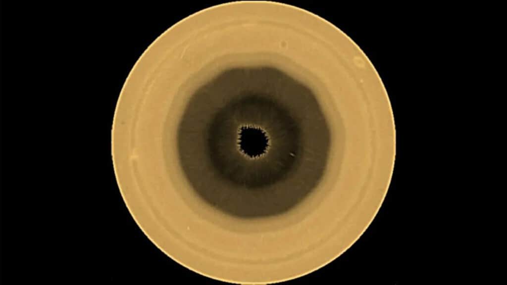 Astrónomos aficionados encontraron algo raro en Saturno. El Hubble acaba de confirmar qué era: un decágono de nubes en su polo sur