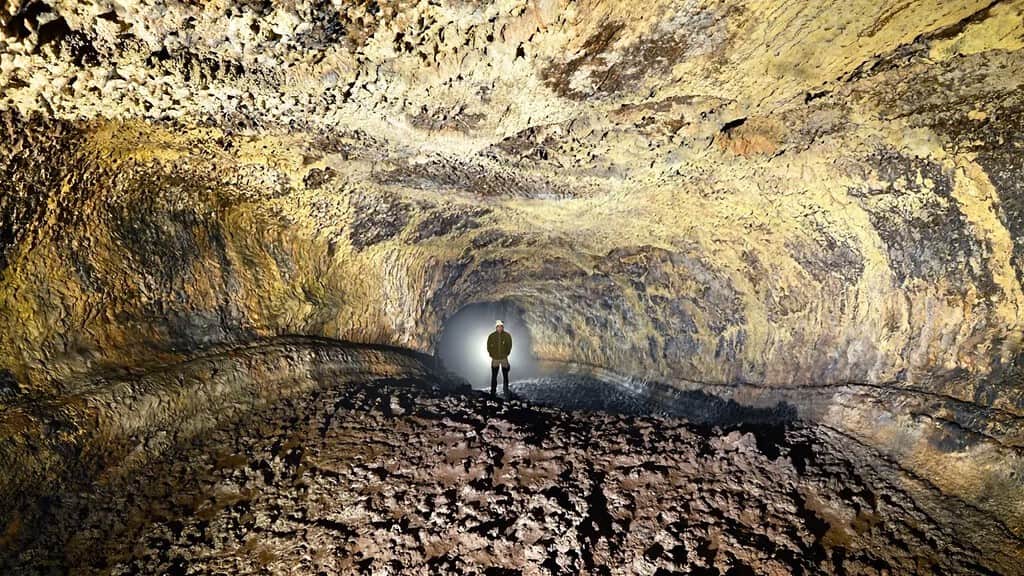 Bajo Tenerife hay un mundo que lleva 27.000 años aislado: dentro de esta cueva viven 190 especies