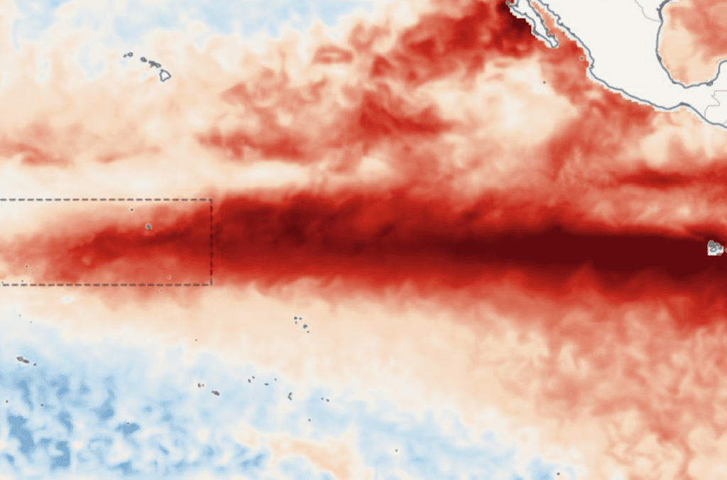 "El Niño más intenso que cualquier otro en los últimos 1.000 años": los expertos no tienen claro qué va a pasar, pero las señales de alerta no dejan de acumularse