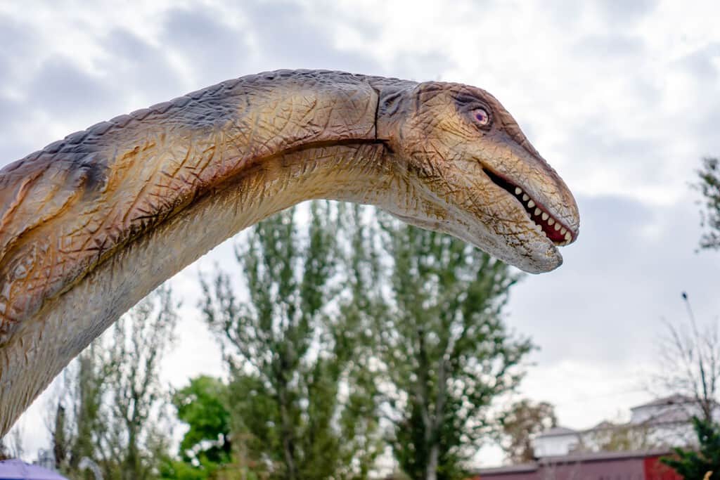 Durante décadas creímos que los Diplodocus vivían solo en América. Acabamos de encontrar uno en Teruel