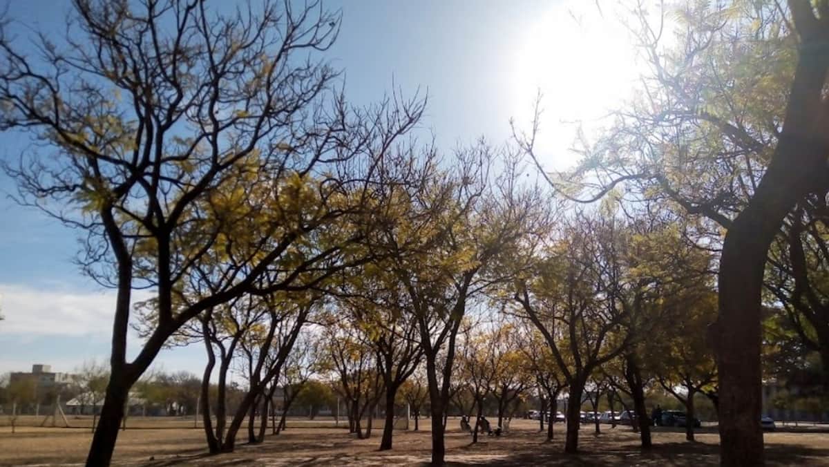 El tiempo: en un ameno miércoles, sube la temperatura en Córdoba