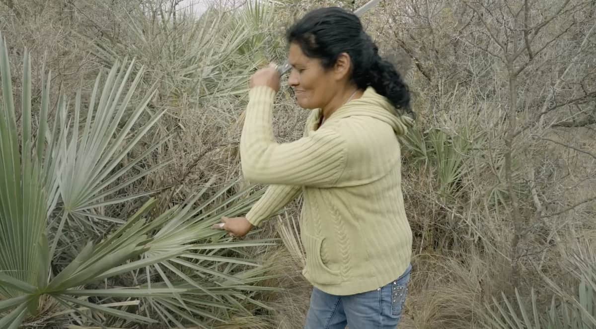 Cine Arte Córdoba: una cartelera con thrillers, cine argentino y memoria de las sierras