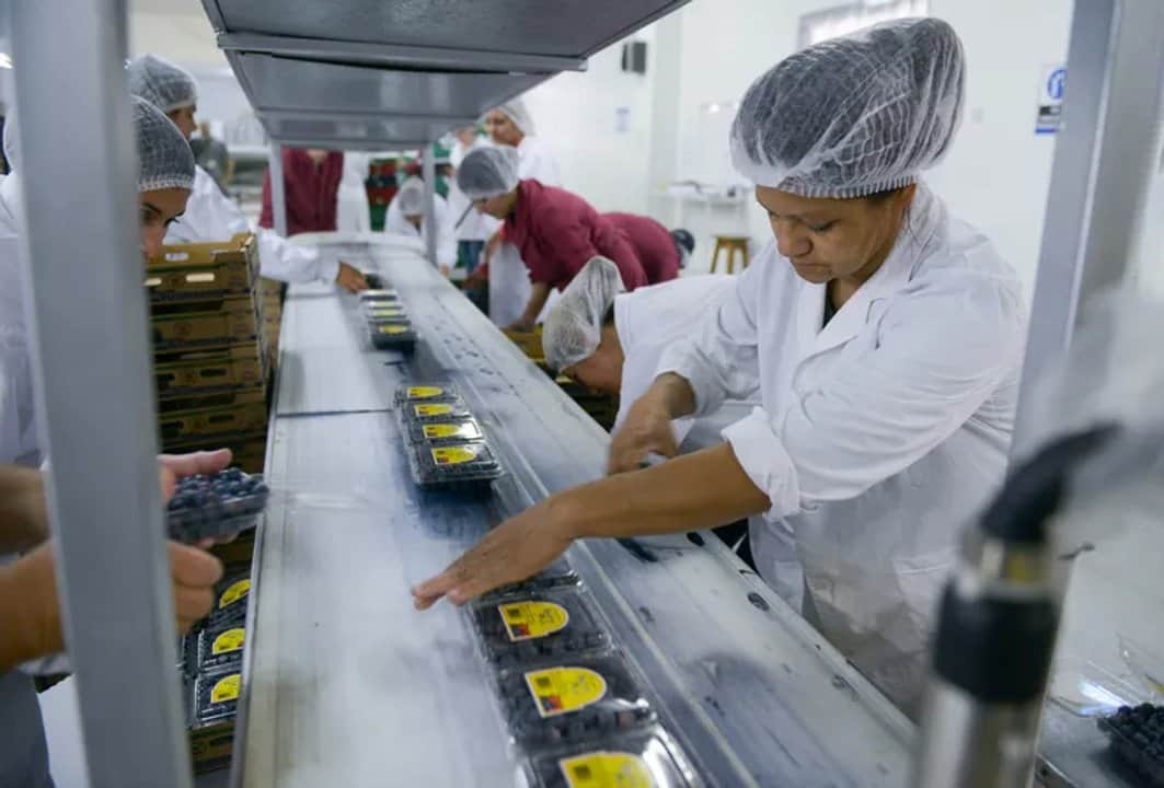 PyMEs alertan por embargos de ARCA: “A los cinco días nos bloquean la cuenta”