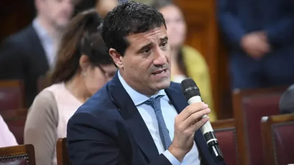 Senadores aliados frenan el dictamen del Súper RIGI por pedir cambios proindustria